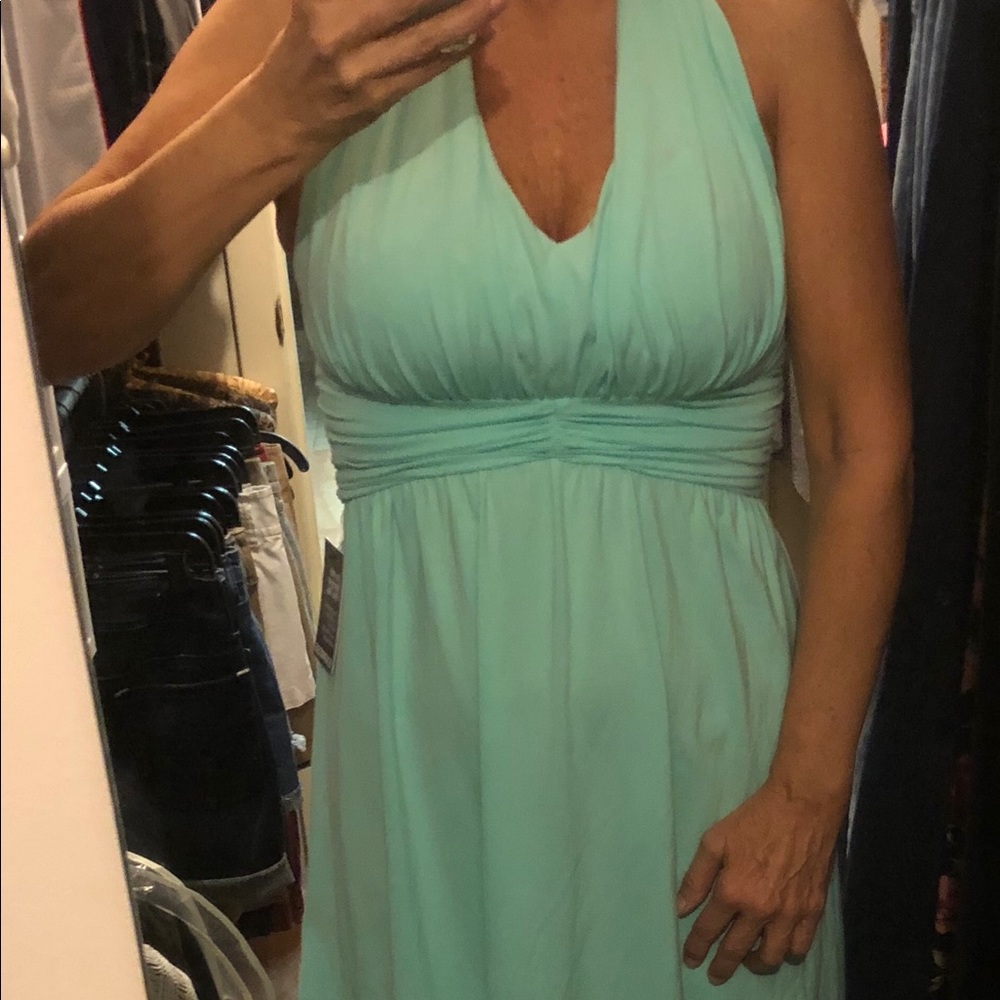 New Express Spring Dress